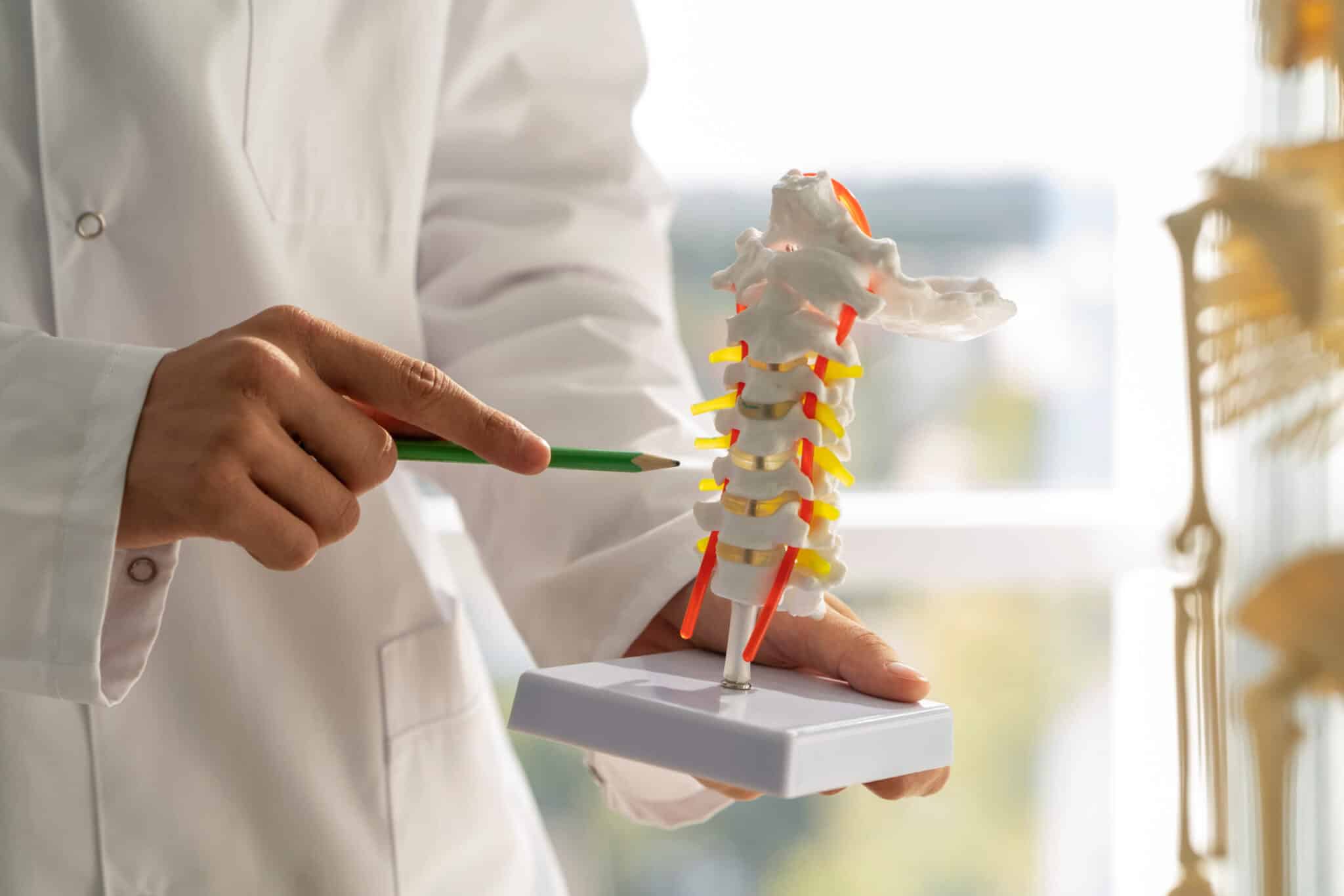 How To Build Bone Density Safely If You Have Osteoporosis